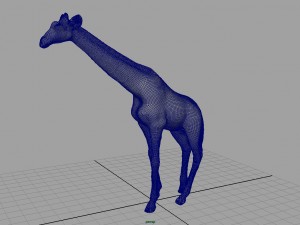 wild africa pack Modello 3D