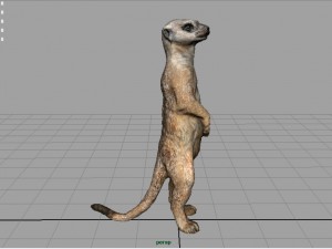 wild africa pack Modello 3D