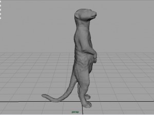 wild africa pack Modello 3D