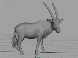 wild africa pack Modello 3D