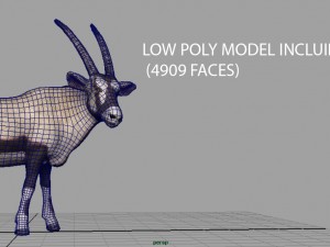 wild africa pack Modello 3D