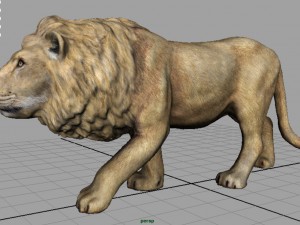 wild africa pack 3D Model