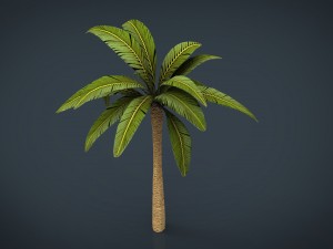 palm tree 3D मॉडल