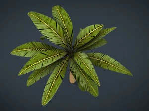 ヤシの木 3Dモデル