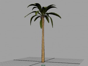 palm tree 3D Model