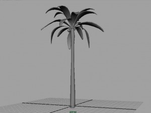 palm tree 3D Model