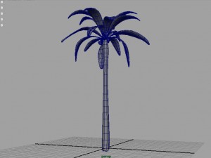 palm tree 3D Model