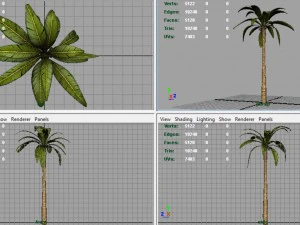 ヤシの木 3Dモデル