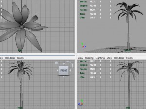 palm tree 3D Model