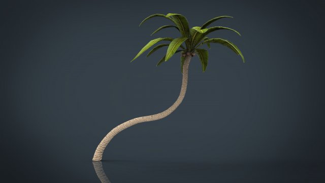 palm tree 2 3D-Modell .c4d .max .obj .3ds .fbx .stl .blend 