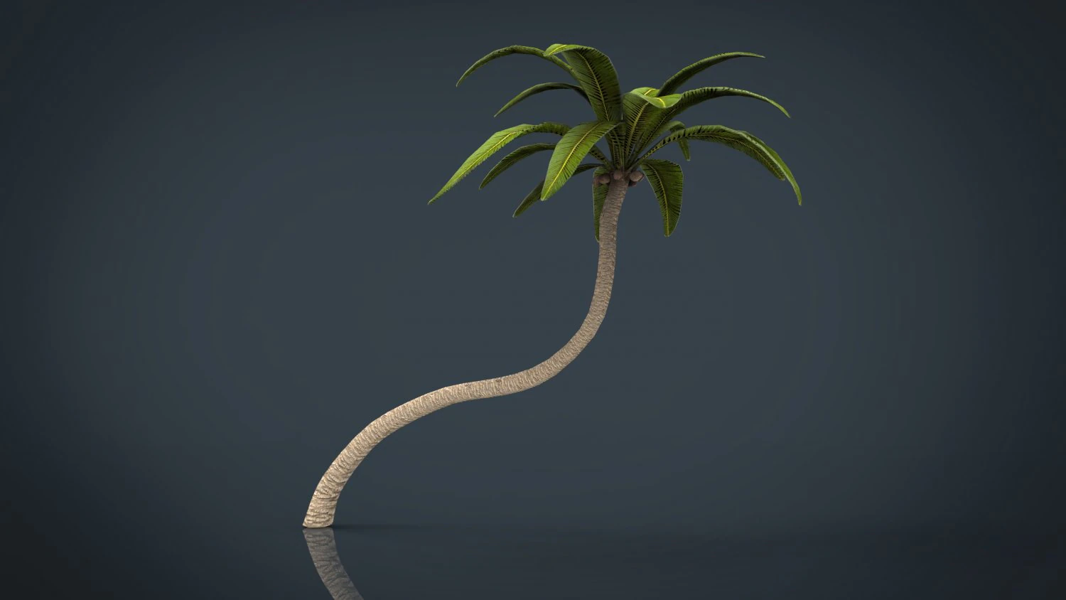 palm tree 2 3D Model .c4d .max .obj .3ds .fbx .stl .blend 