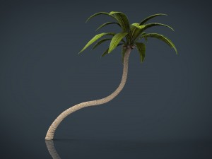 palm tree 2 3D मॉडल