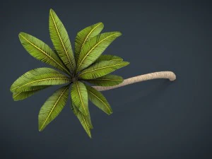 palm tree 2 3D Model