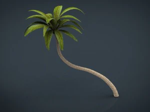 palm tree 2 3D Model