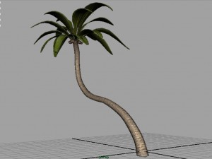 palm tree 2 3D-Modell