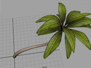 palm tree 2 3D Model