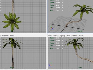 palm tree 2 3D-Modell