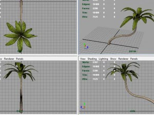 palm tree 2 3D Model