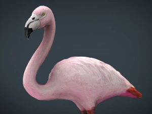 flamingo 3D Model