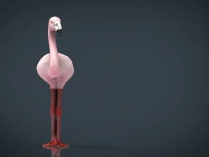 flamingo 3D Model