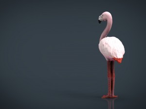 flamingo Model 3D