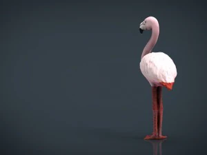 flamingo 3D Model