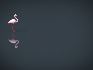 flamingo Model 3D