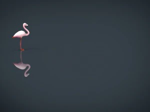 flamingo 3D Model