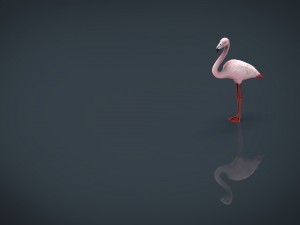flamingo Model 3D