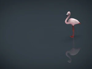 flamingo 3D Model