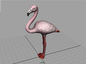 flamingo 3D Model