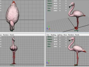 flamingo 3D Model