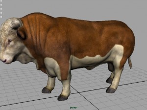 hereford bull 3D Model