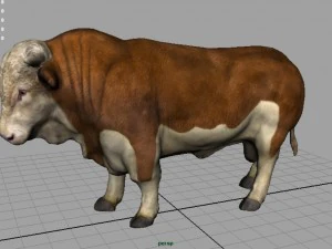 byk Hereford Model 3D