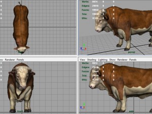 hereford bull 3D Model