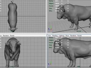 hereford bull 3D Model