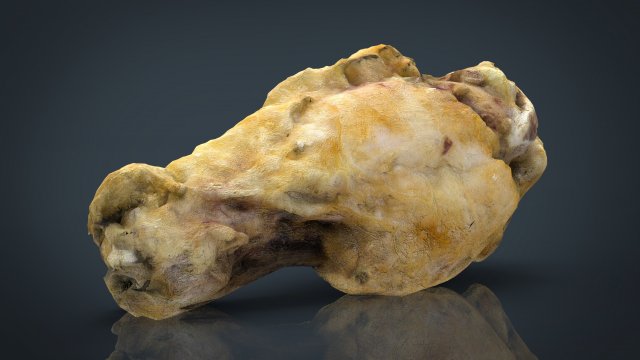 chiken wing 1 3D Model .c4d .max .obj .3ds .fbx .stl .blend 