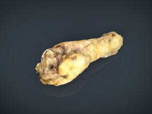 chiken wing 1 3D Model