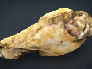 chiken wing 1 3D Model