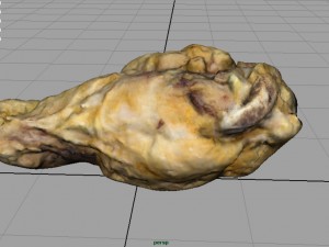 chiken wing 1 3D Model