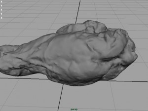 chiken wing 1 3D Model
