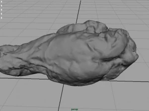 chiken wing 1 3D Model