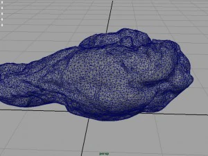 chiken wing 1 3D Model
