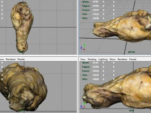 chiken wing 1 3D Model