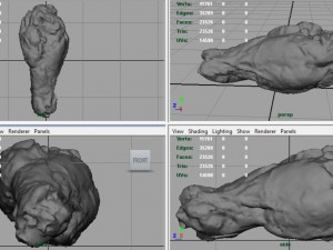 chiken wing 1 3D Model
