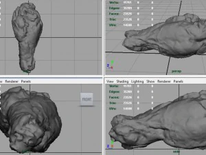 chiken wing 1 3D Model