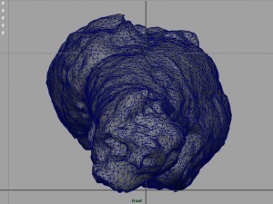 chiken wing 1 3D Model