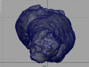 chiken wing 1 3D Model