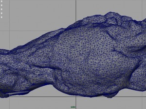 chiken wing 1 3D Model