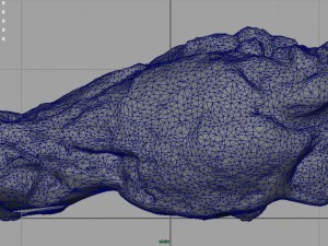 chiken wing 1 3D Model